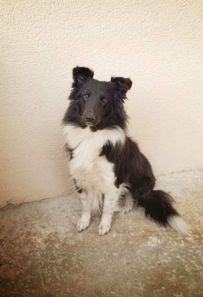 Tsuki du Banc des Hermelles